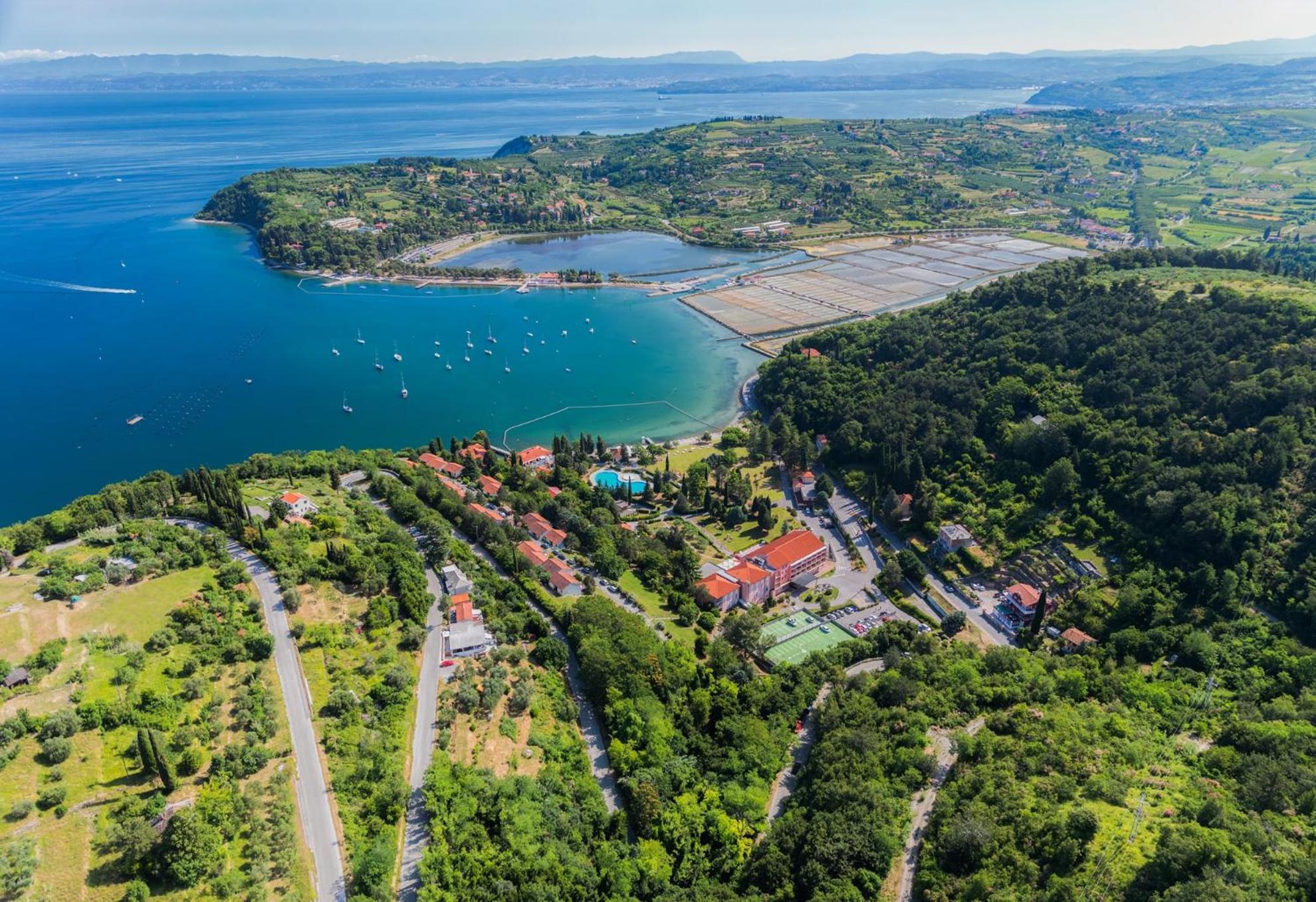 Sea View Apartment Renzzo Strunjan Zewnętrze zdjęcie