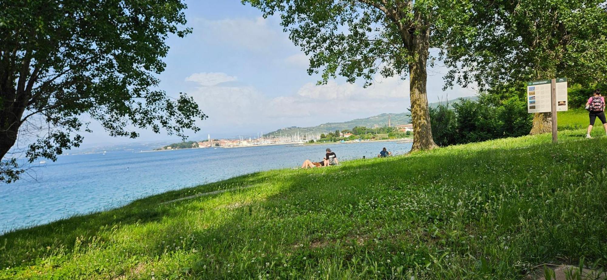 Sea View Apartment Renzzo Strunjan Zewnętrze zdjęcie