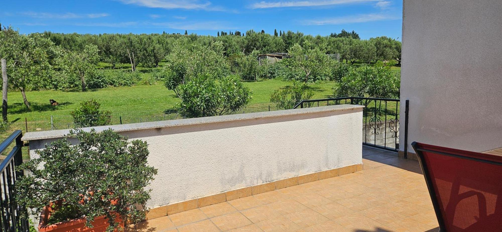 Sea View Apartment Renzzo Strunjan Zewnętrze zdjęcie